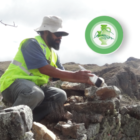 arqueologia